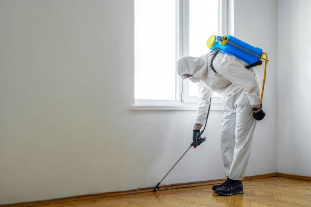 Professional Pest Control in Willows, CA